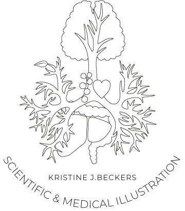 KJB Scientific & Medical Illustration